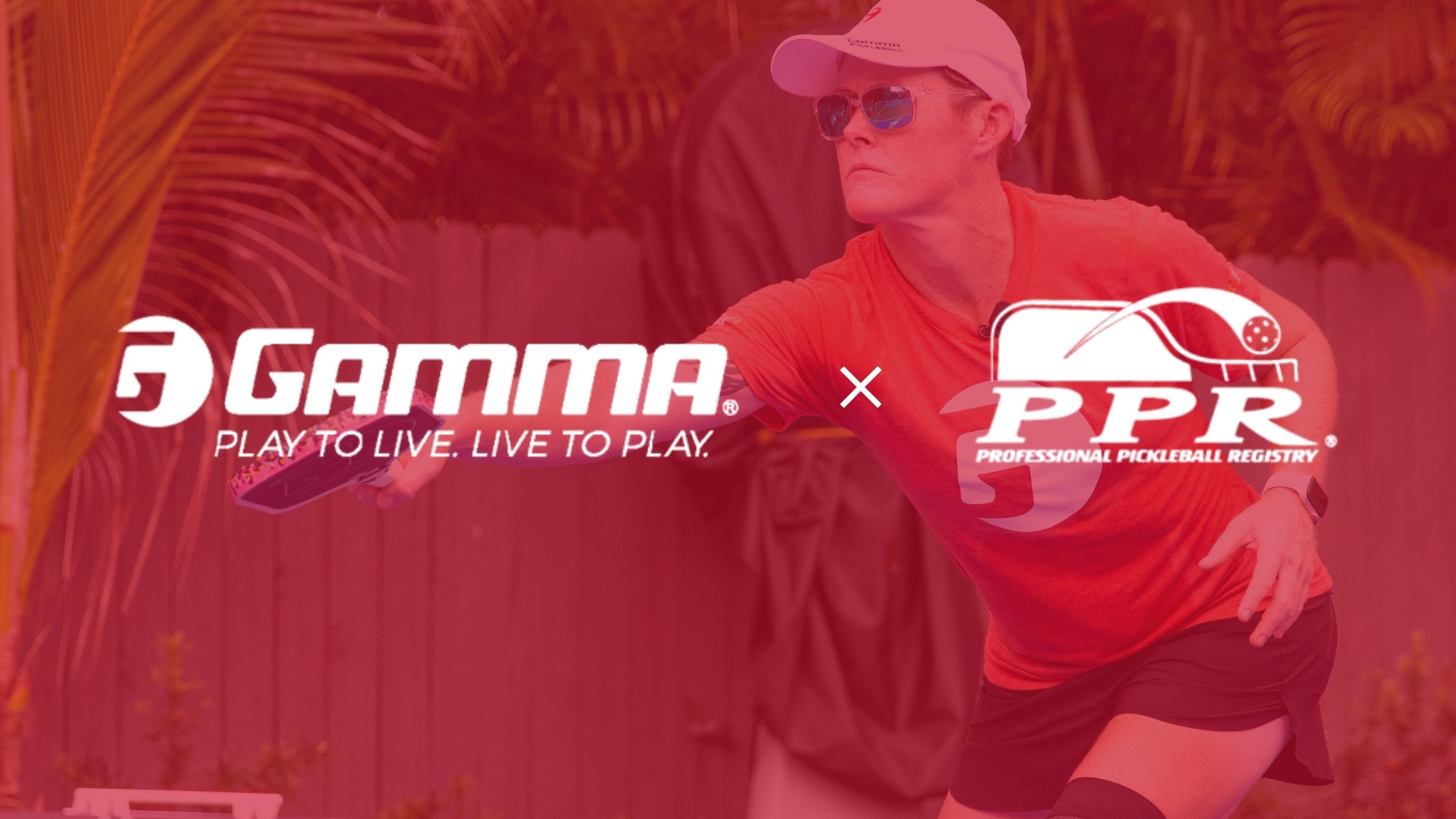 Gamma Sports Zoo Smorza Vibrazioni - Confezione Da 2 Ammortizzatori - Foto 8