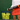 Pickleball Ball Hoppers® - Gamma Sports