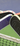 Pickleball Paddles - Gamma Sports