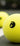 Foam Pickleball - Gamma Sports