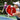 Fusion Series - Gamma Sports
