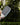 Raw Carbon - Gamma Sports