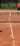 Tennis - Gamma Sports