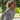 Women's Performance Apparel - Gamma Sports