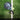GAMMA Mirage Padel Racket - GAMMA Mirage Padel Racket