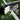 GAMMA Obsidian 16 Pickleball Paddle - GAMMA Obsidian 16 Pickleball Paddle