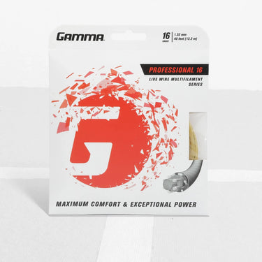 GAMMA Professional - GAMMA Professional